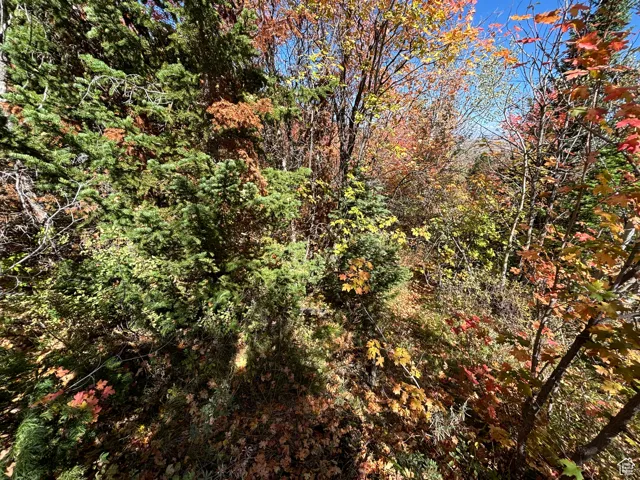 View of landscape featuring a forest view