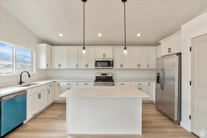 Kitchen featuring white cabinets, a sink, light countertops, light wood-type flooring, and stainless steel appliances