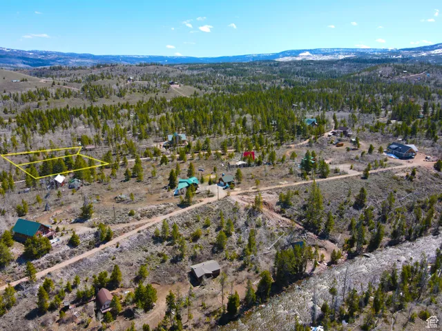 Drone / aerial view with a rural view, a wooded view, and a mountain view