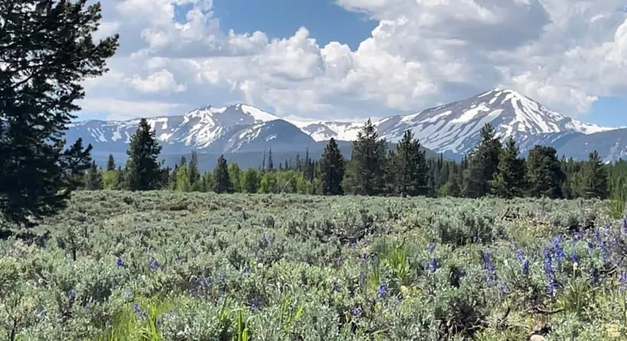 View of mountain feature featuring a forest view