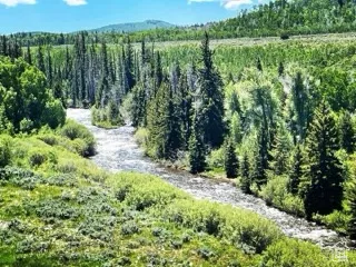Bird's eye view with a wooded view
