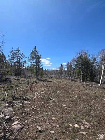 View of nature