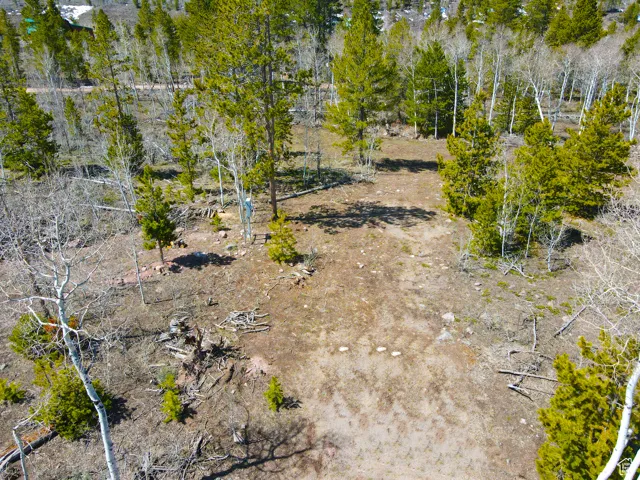 View of local wilderness