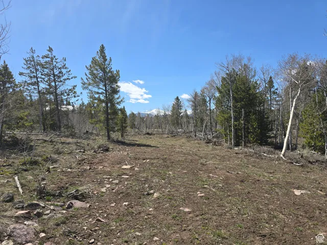 View of nature