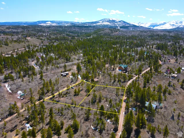 Bird's eye view featuring a mountain view