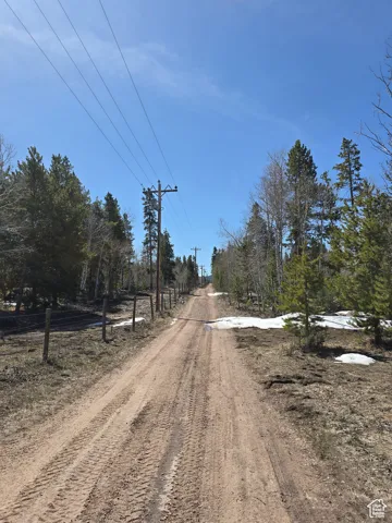 View of road