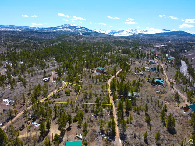 Bird's eye view with a mountain view