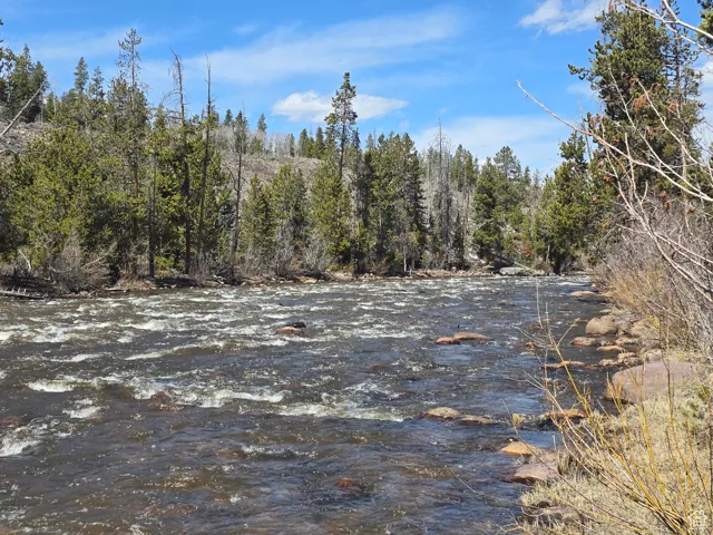 View of nature