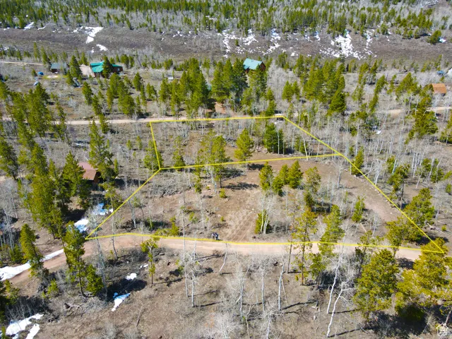 Bird's eye view featuring a rural view