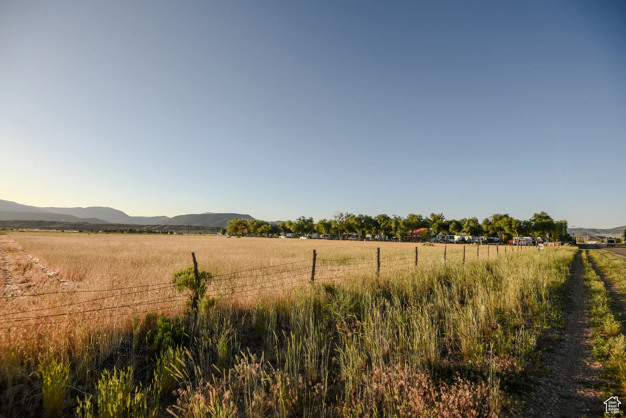 View of yard with a view of rural / pastoral area and a mountain view