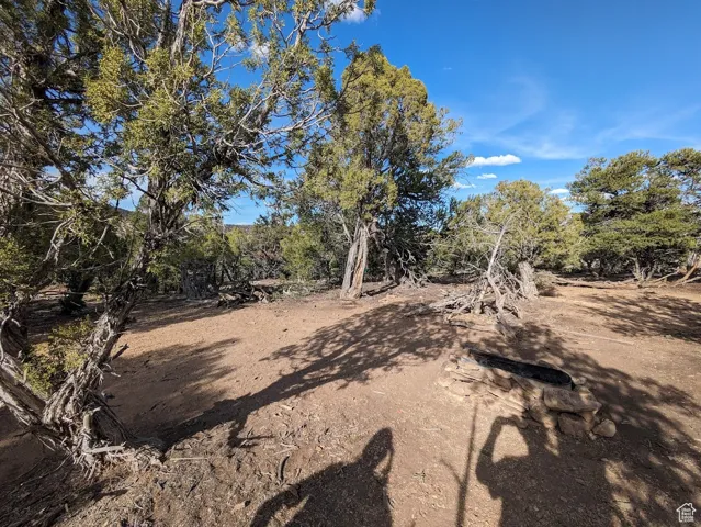Beautiful secluded 10 acres with tons of trees and views!