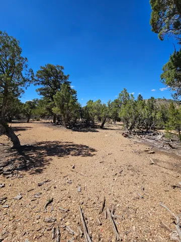 Flat Areas for camping