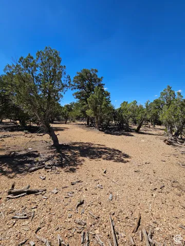 Beautiful secluded 10 acres with tons of trees and views!