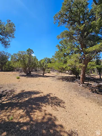 Flat Areas for camping