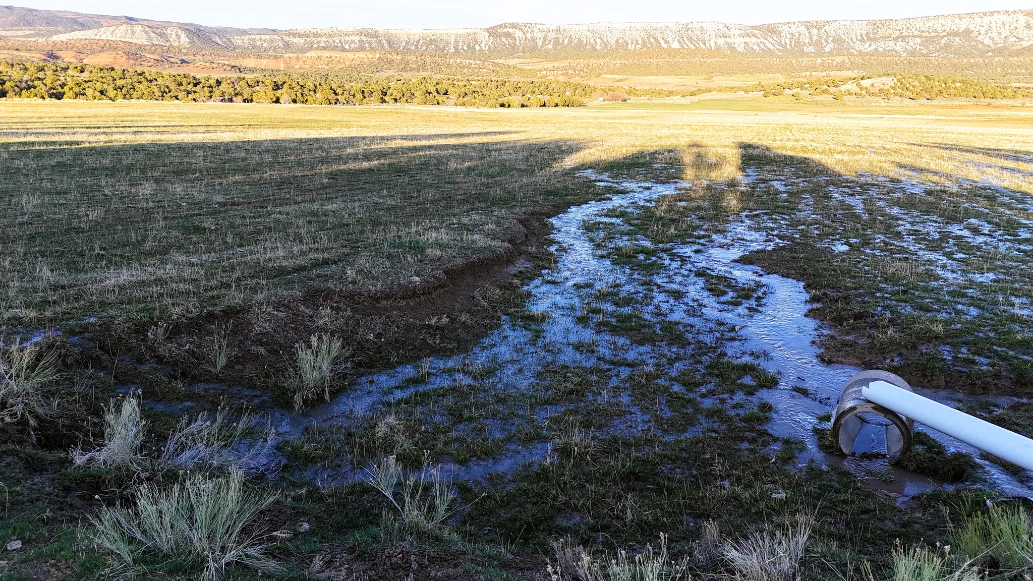 View of yard with a mountain view and a view of rural / pastoral area