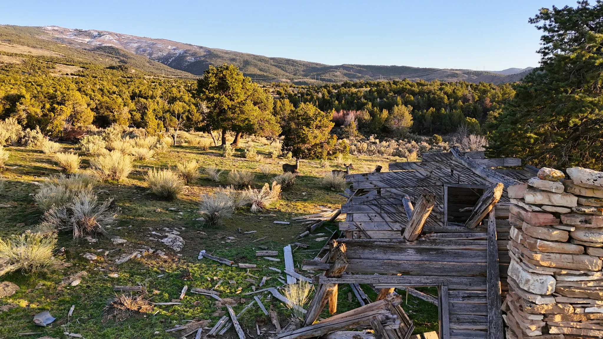 View of mountain background