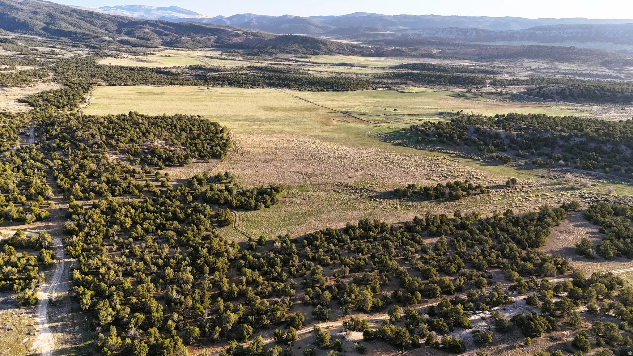 Drone / aerial view of mountains