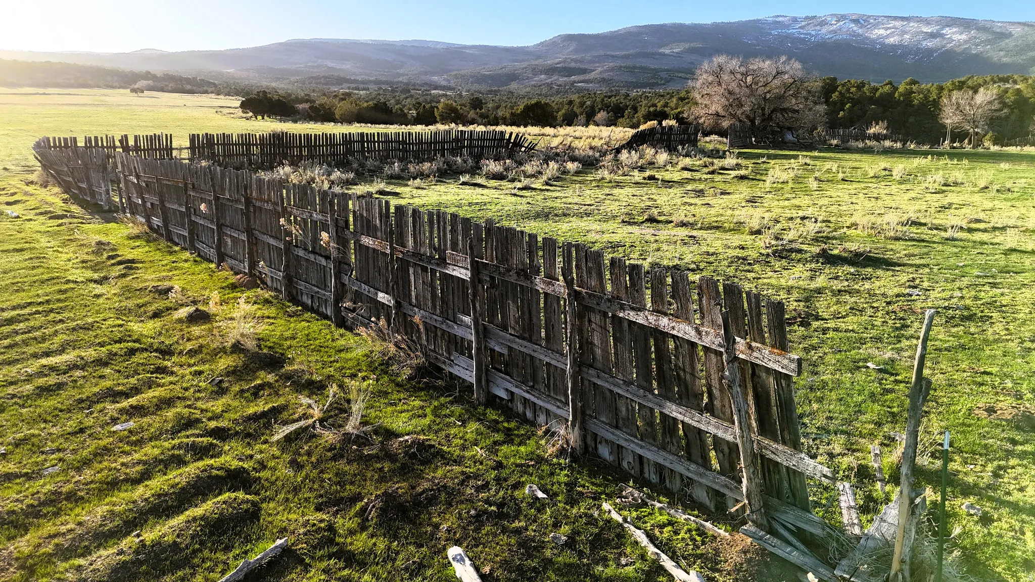 View of yard with a mountain view and a view of countryside