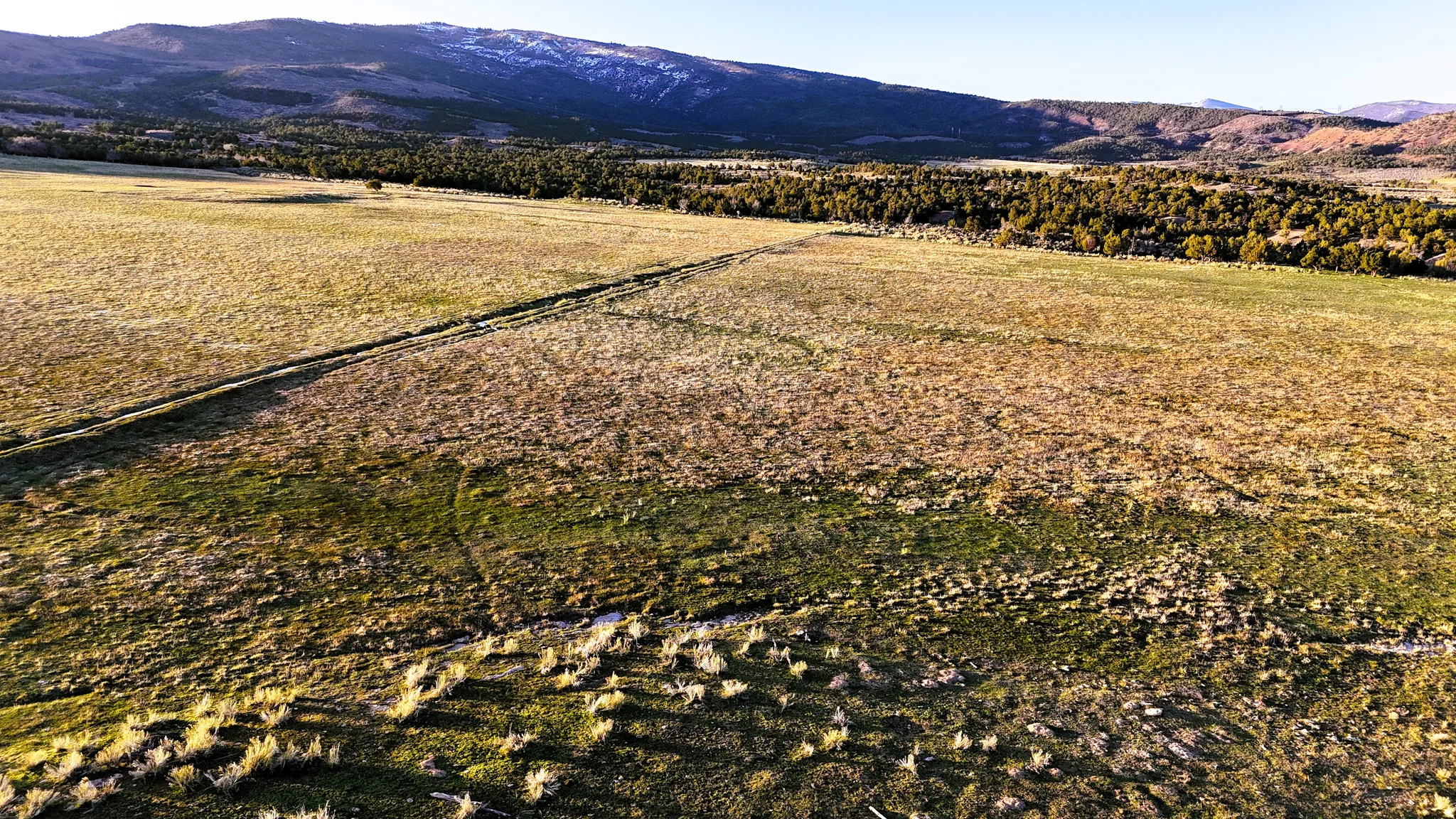 Aerial view of sparsely populated area featuring a mountain backdrop