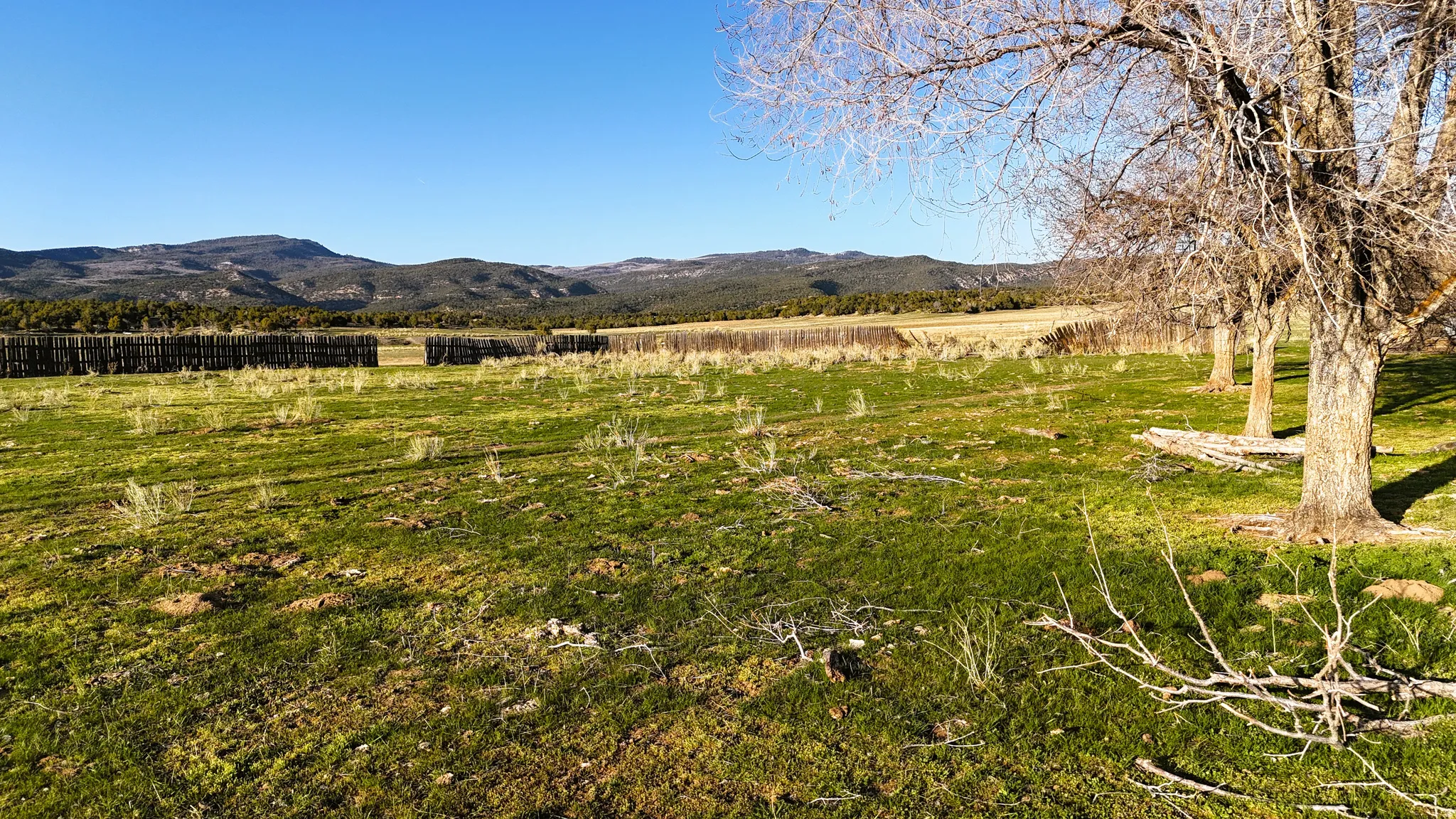 Mountain view with rural landscape