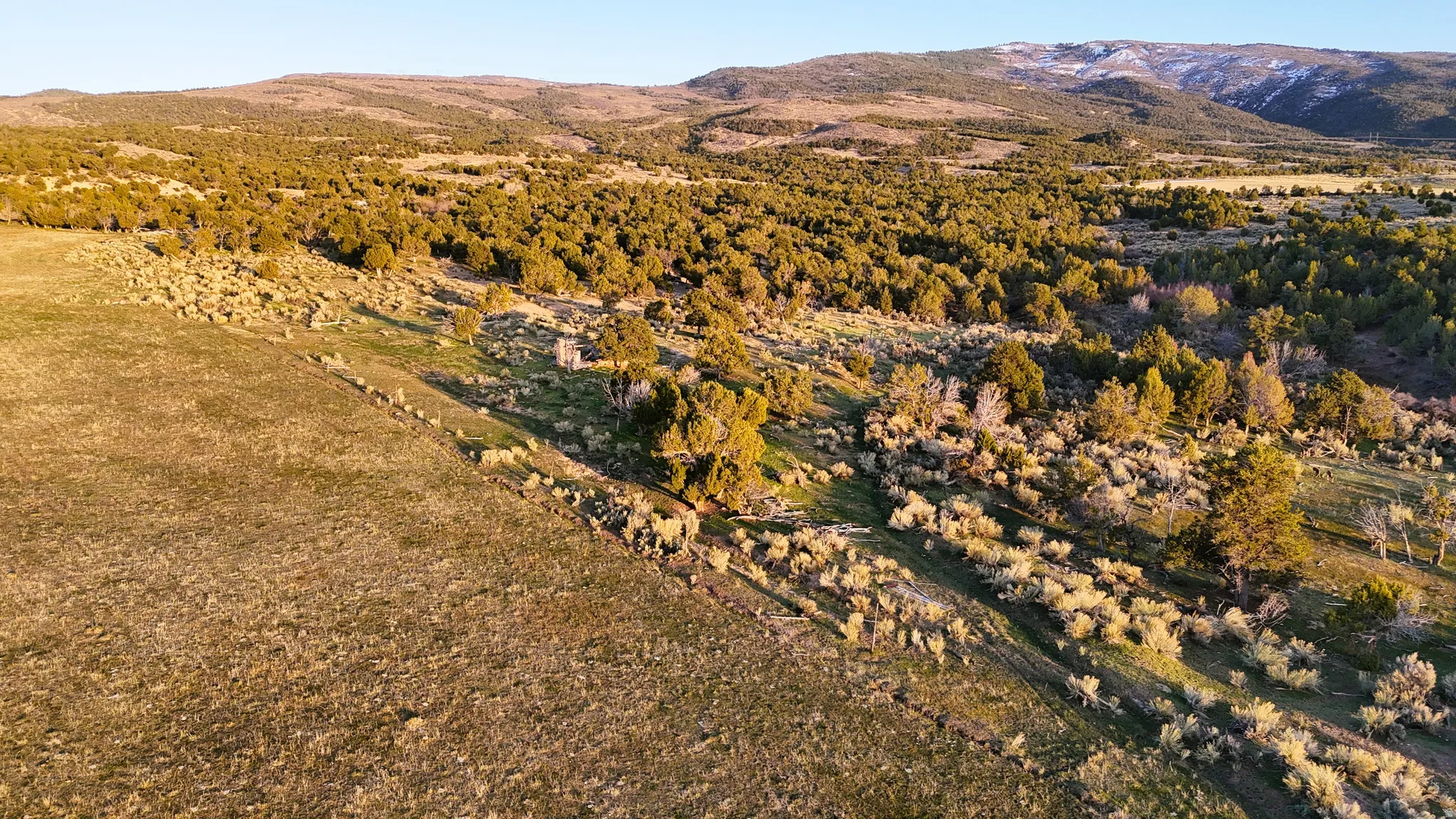 View of mountain background