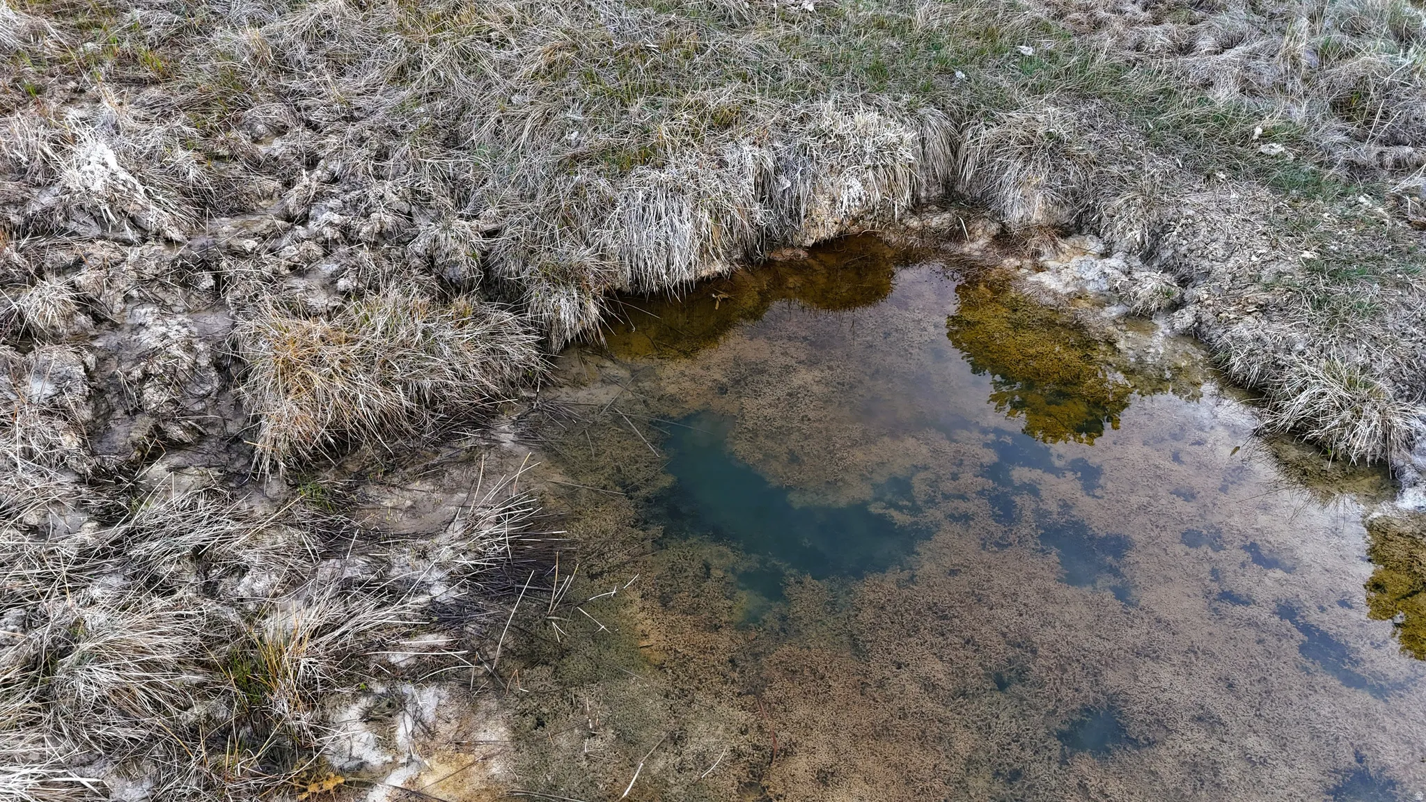 Bird's eye view of a nearby body of water