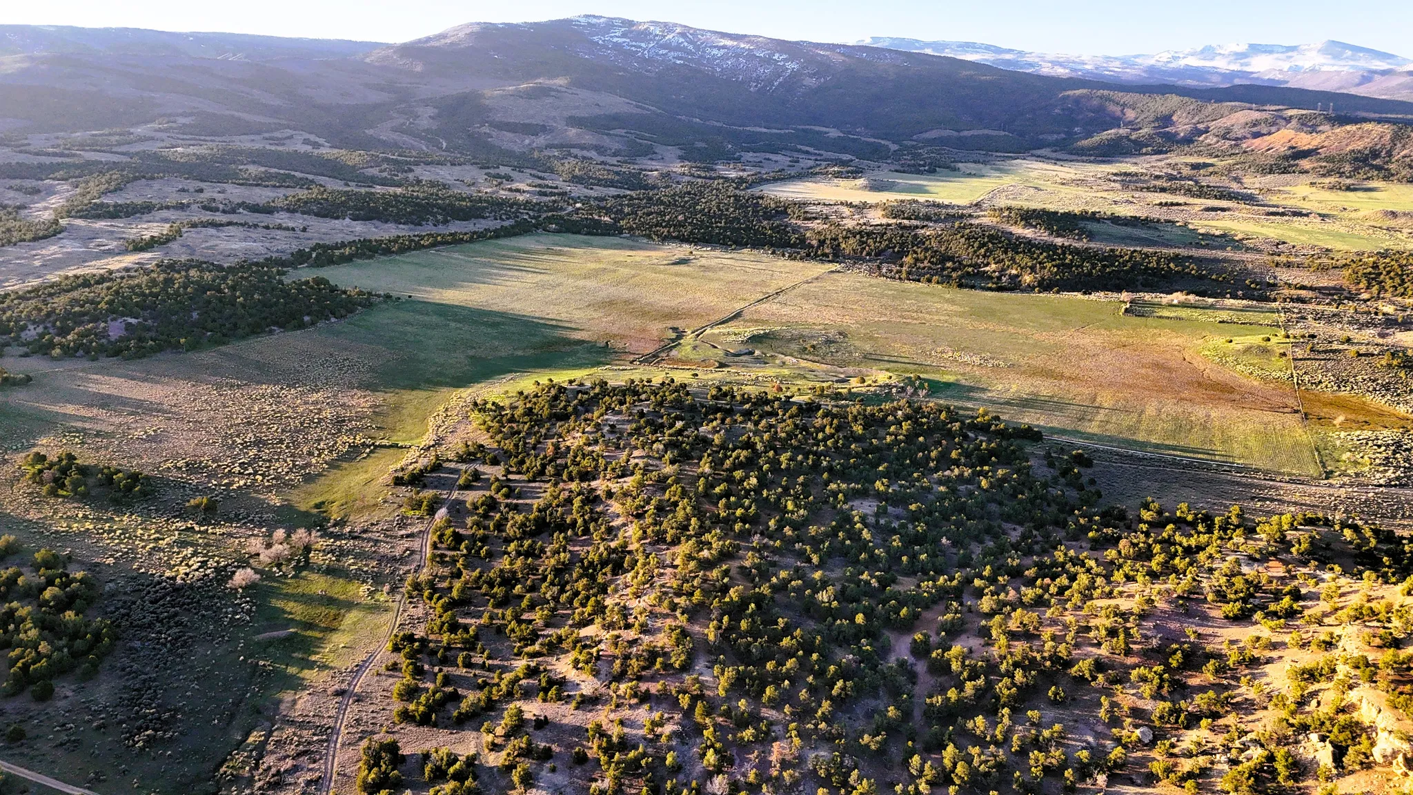 Aerial view of sparsely populated area featuring mountains