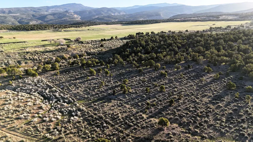Bird's eye view of a mountainous background