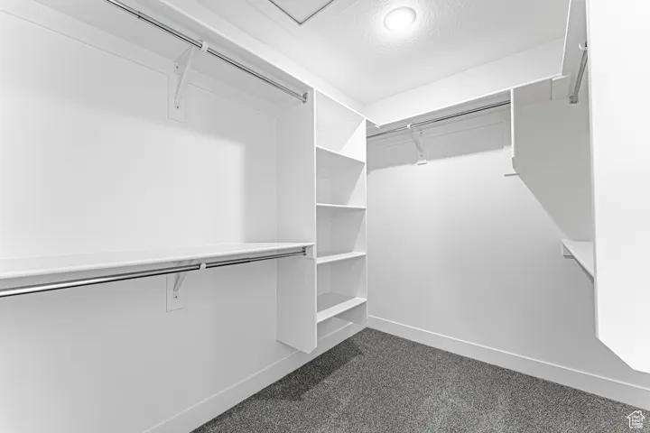 Spacious closet featuring dark colored carpet