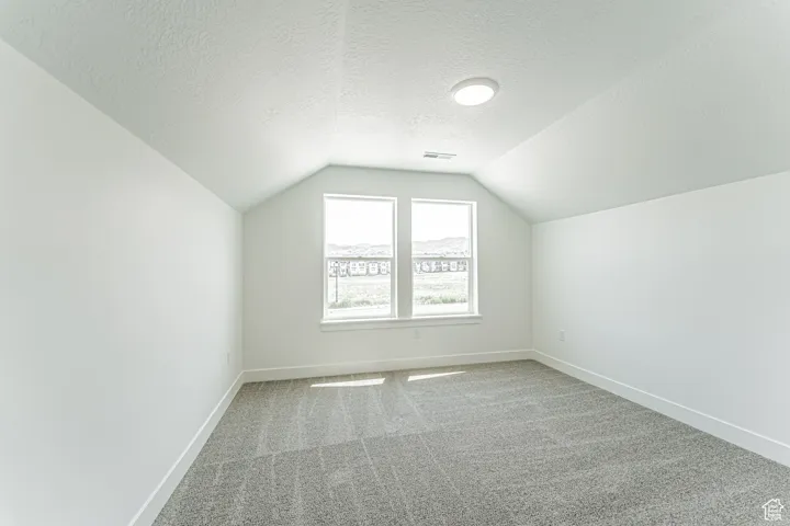 Bonus room featuring lofted ceiling, a textured ceiling, and carpet flooring