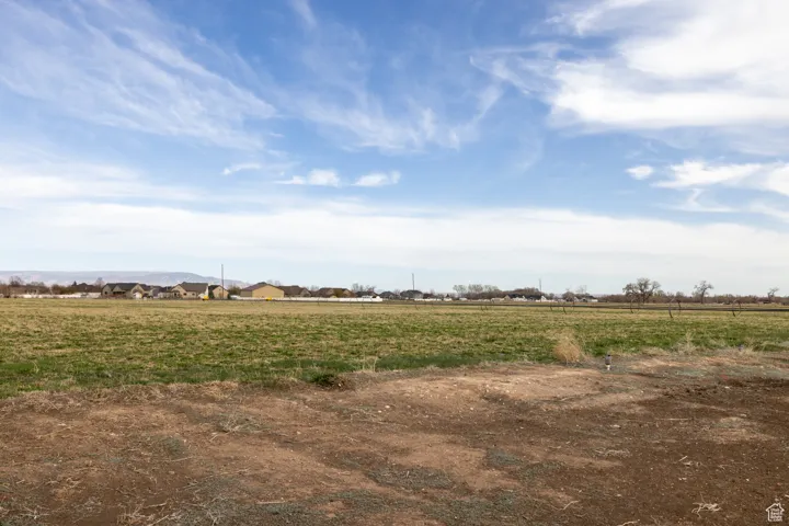 View of local wilderness with a rural view