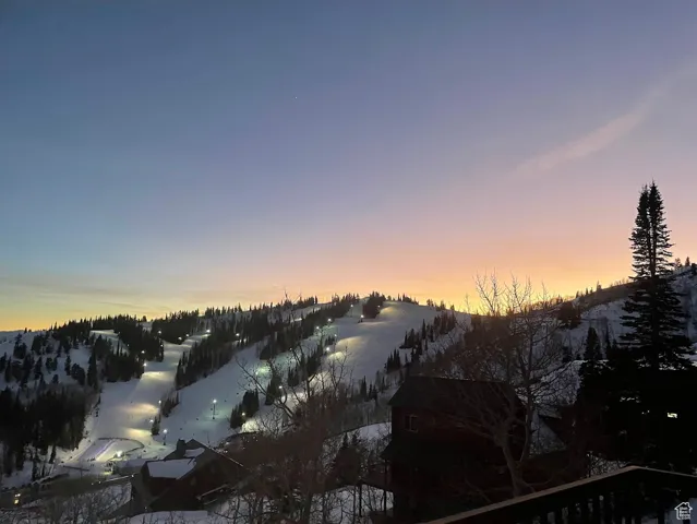 View of the slopes