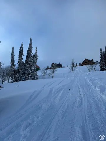View of yard layered in snow