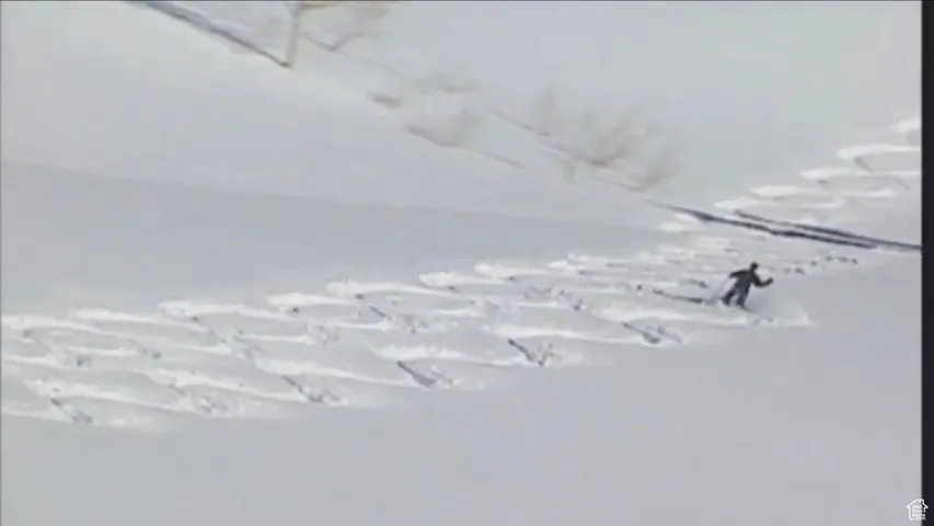 Utahs best powder skiing