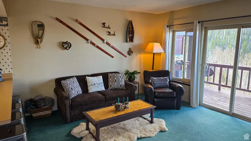 Carpeted living area with a textured ceiling