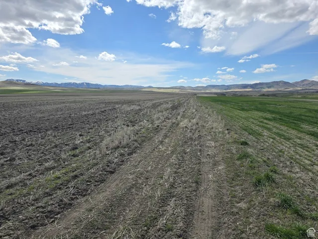 View of street featuring a mountain view and a rural view