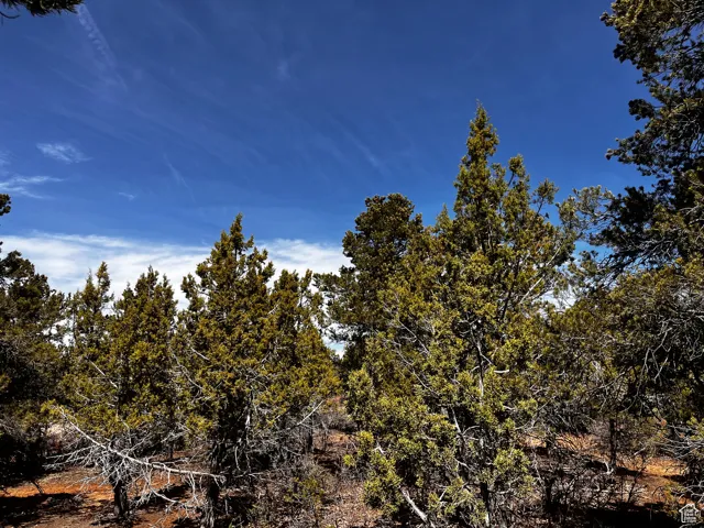 View of nature