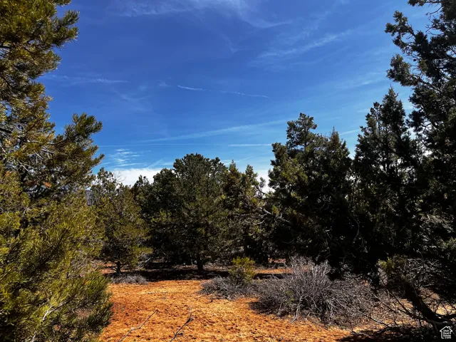 View of landscape