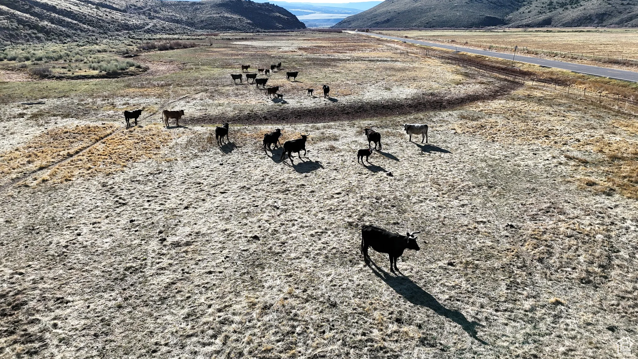 Mountain view with rural landscape