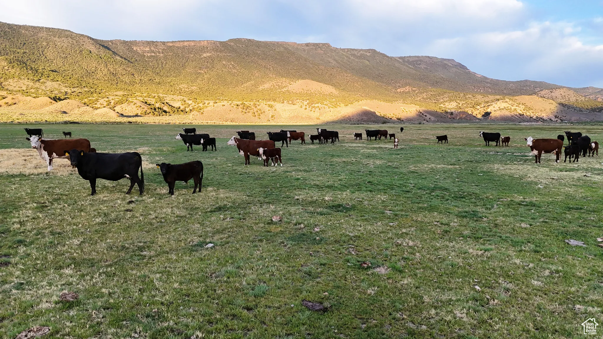 View of mountain background featuring a pastoral area and rural landscape