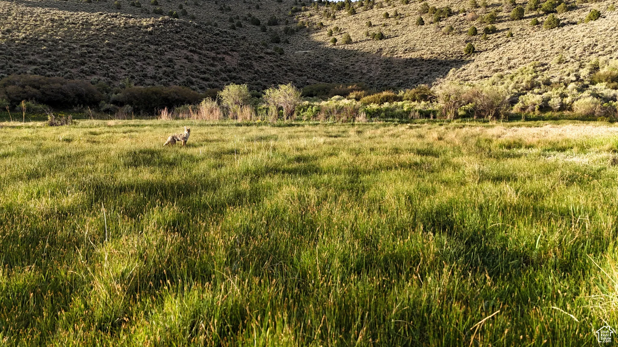 View of undeveloped land featuring rural landscape