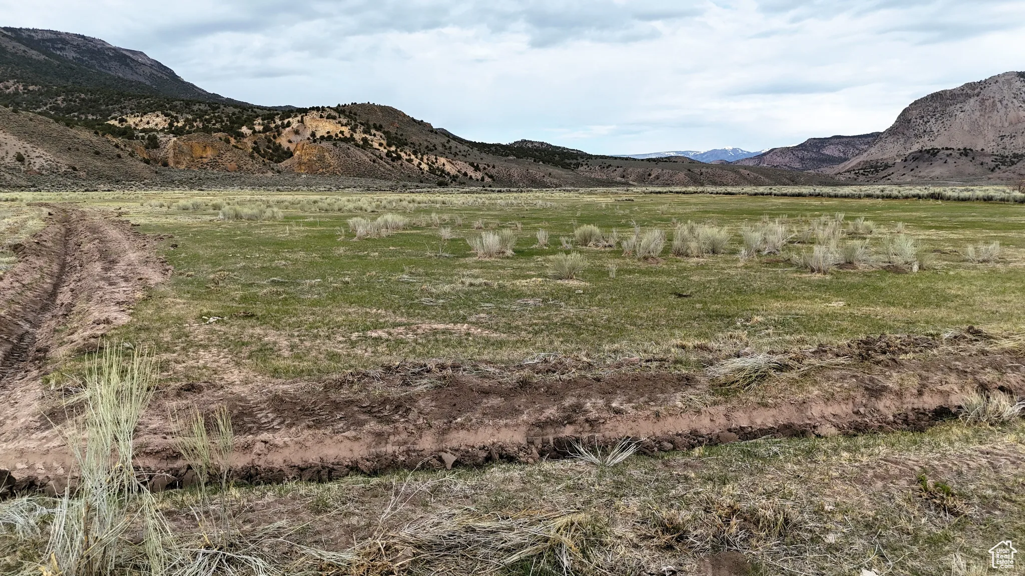 View of mountain background