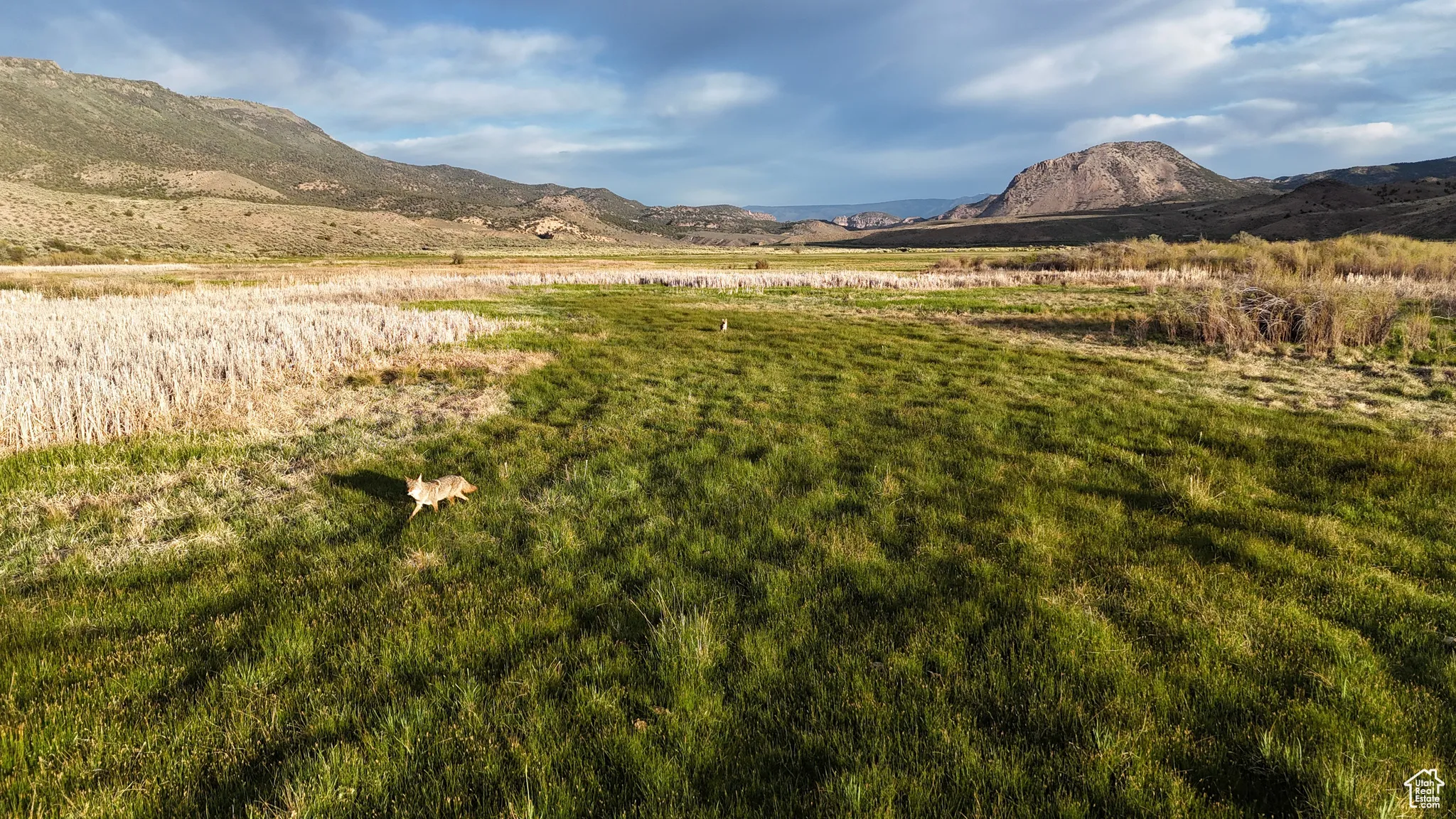 View of mountain backdrop