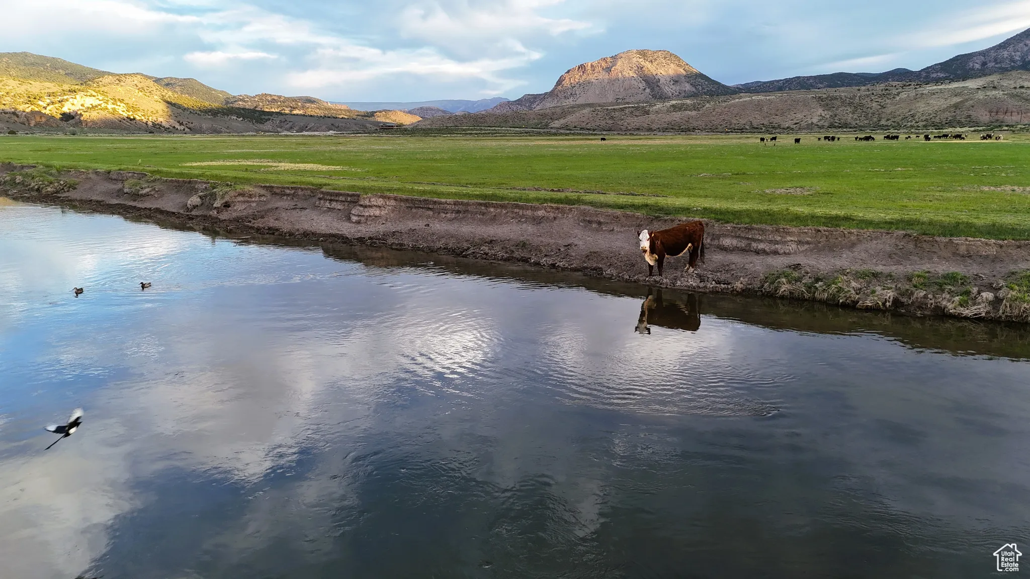 Water view with a mountain backdrop and rural landscape