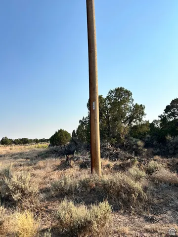 View of local wilderness