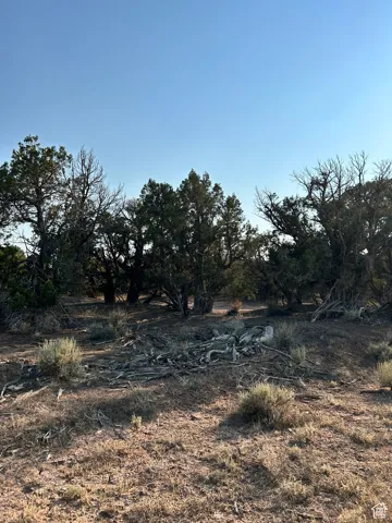 View of nature