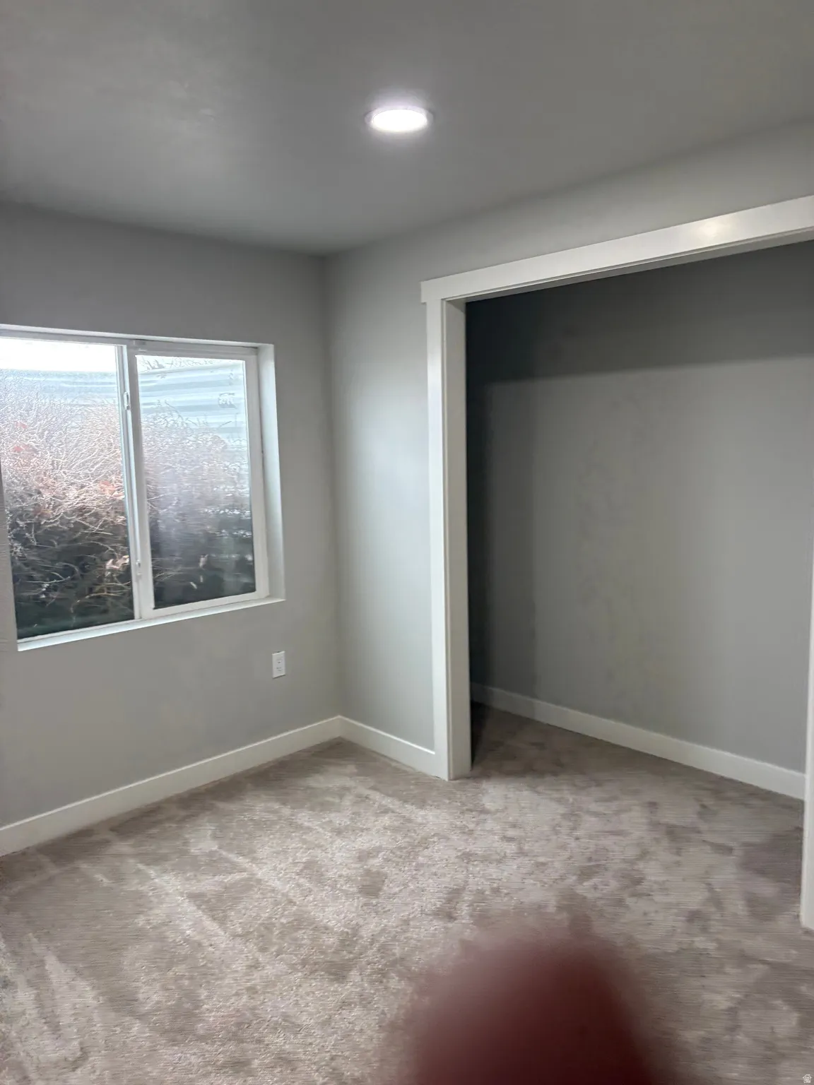 bedroom featuring light colored carpet and a closet
