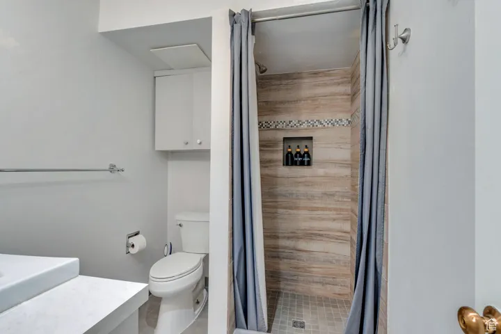 Full bathroom featuring toilet, vanity, and a stall shower