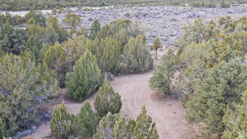 Bird's eye view with a forest view