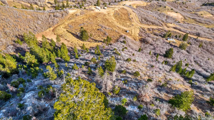 Drone / aerial view with a desert view and a rural view